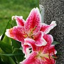 ���� ����� - ���������� ��������!!!, �����������, 56 ��� - ��������� 10 ������ 2010 � ������ ������