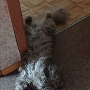 ��� �� ���� � ����=))) �� ������� �������
