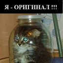 ���� ����, ����� - ��������� 7 ������� 2012 � ������ ��������������