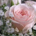 ���� ������*, ���������, 24 ���� - ��������� 4 ������ 2012 � ������ ������������ ���� ������� �����=)�