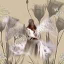  ( ), , 40  -  17  2011   