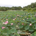 ���� ������, �����������, 58 ��� - ��������� 31 ���� 2013 � ������ ���� ����������