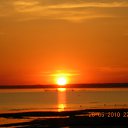 ���� ���, �����-��������� - ��������� 22 ��� 2010 � ������ ������������������......����������������