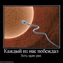 ���� �����, ������ - ��������� 6 ����� 2011 � ������ ������