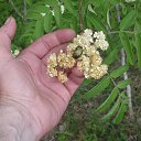 ���� ������, �������� - ��������� 16 ������� 2012 � ������ �������