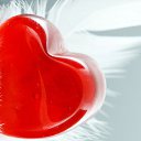 ���� ����������, �����-��������� - ��������� 24 �������� 2012 � ������ ����������,������