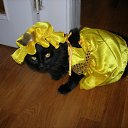 ���� Meritaton, ����, 47 ��� - ��������� 8 ������� 2009 � ������ �������������)) ���....�