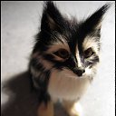 ���� Anastasiya, ��������������, 31 ��� - ��������� 12 ��� 2010 � ������ �[��� ����� �������]�