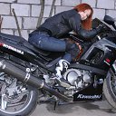 ���� ��������, ������, 38 ��� - ��������� 17 ������ 2009 � ������ ���� ����������