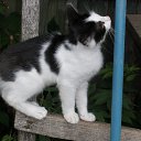 ��� ��� ������ �� ������� ����� ��� ������������