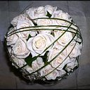 ���� �����, ������, 62 ���� - ��������� 14 ���� 2013 � ������ ���� ���������