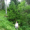 ���� ������, ����������, 60 ��� - ��������� 20 ���� 2012 � ������ ���� ����������