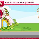 ���� ������, ������, 49 ��� - ��������� 6 ������ 2010 � ������ �PetLove�