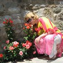 ���� �������, �����-���������, 49 ��� - ��������� 29 ���� 2011 � ������ ��������