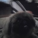 ���� ����, ����������, 45 ��� - ��������� 15 ������� 2012 � ������ �������