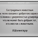 ���� ��, ���, ������ ��������, 44 ���� - ��������� 3 ������ 2013 � ������ ���� ����������