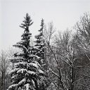   (Paolo Genua),  -  9  2010   ... ...