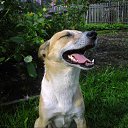 ���� ������, �������� - ��������� 27 ������ 2012 � ������ �������