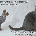 ���� Red, ������� - ��������� 16 ������ 2011 � ������ ���������������� :)�