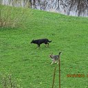  , , 40  -  27  2012    28.04 - 01.05.2012