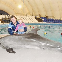 ���������, ����������, 50 ���