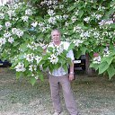 ���� �������, ���������� - ��������� 29 ������ 2013