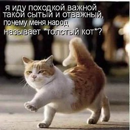 ���� �����, �������, 46 ��� - ��������� 2 ������� 2012
