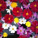 ���� ����, ������, 47 ��� - ��������� 11 ������� 2011 � ������ �RoadKing�