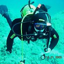 ���� ���������, ����������� - ��������� 2 ������� 2011 � ������ ���� ����������