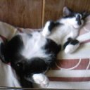   ,  -  26  2013        =)