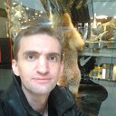 ���� ���������, ������� - ��������� 6 ����� 2013 � ������ ���� ����������