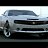 ���� �����, ������, 44 ���� - ��������� 7 ������� 2010