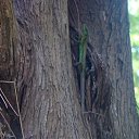 ���� ������, �������, 56 ��� - ��������� 22 ������� 2010 � ������ ��� ����