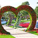 ���� ������ Al Ain Paradis �� ������� �������