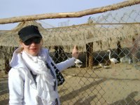 ������, ������, 44 ����