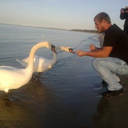 ���� �����, �������, 39 ��� - ��������� 30 ��� 2013