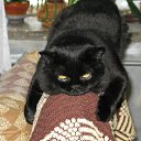 ���� ����, ������, 58 ��� - ��������� 19 ������ 2009 � ������ ���� ��������