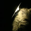 ���� Futka, �������, 41 ��� - ��������� 22 ������� 2011