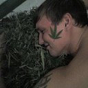 ���� �����, �����������, 36 ��� - ��������� 27 �������� 2010 � ������ �����0 �� �������