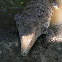 � ����! �� ������� ���� ����������