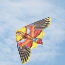 ���� Nicola, ���������, 78 ��� - ��������� 17 ���� 2013 � ������ ������, ���� 16 ����!�