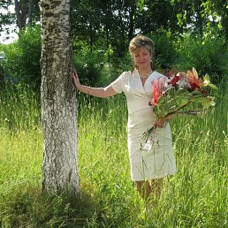 �����, �������, 54 ����