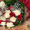  , -- -  14  2013   .....   ...