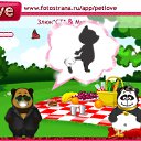 ���� ����, ������, 33 ���� - ��������� 9 ������� 2010 � ������ �PetLove�