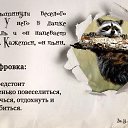 ���� �����, ����� - ��������� 14 ����� 2013 � ������ ���� ����������