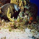 ���� ����� - ���������� ��������!!!, �����������, 56 ��� - ��������� 12 ������ 2010 � ������ ������
