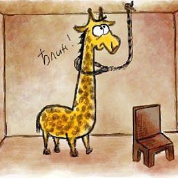 ���� ������, ����������, 43 ���� - ��������� 14 ������� 2013