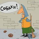  , -, 36  -  24  2010   