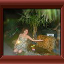 ���� ����, ������, 40 ��� - ��������� 14 ������� 2011 � ������ ������������