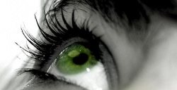 ���� ������, ������ ����� - ��������� 7 ���� 2012 � ������ �������